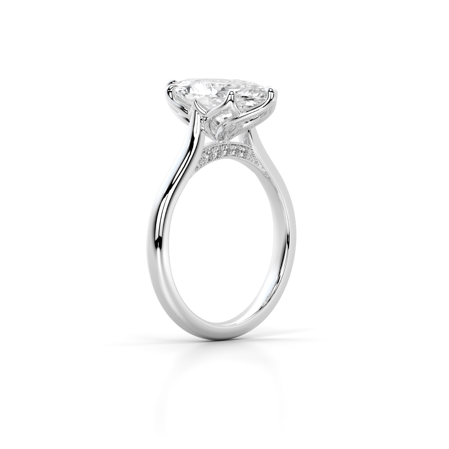 The Halle